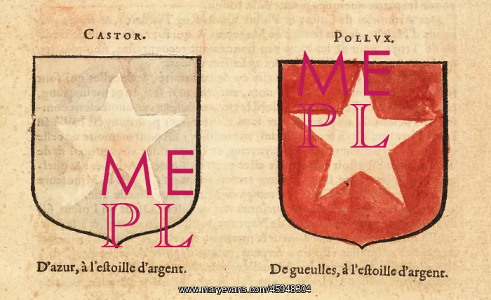 : Imaginary coat of arms of the Dioscuri twins Castor : Imaginary coat of arms of the Dioscuri twins Castor