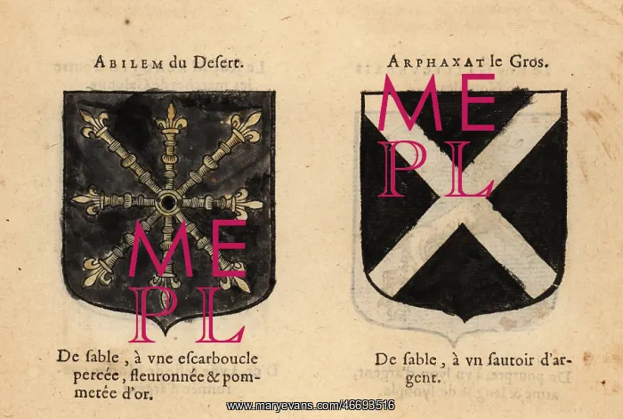 : Imaginary coats of arms of Abilan of the Desert : Imaginary coats of arms of Abilan of the Desert