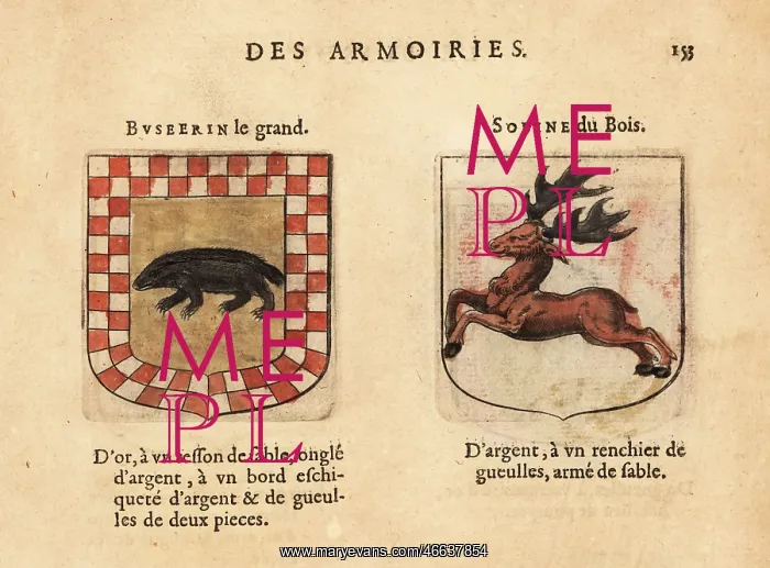: Imaginary coats of arms of Busterine the Great : Imaginary coats of arms of Busterine the Great