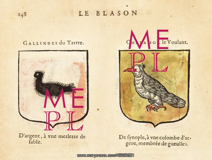 : Imaginary coats of arms of Galindes of the Hillock : Imaginary coats of arms of Galindes of the Hillock