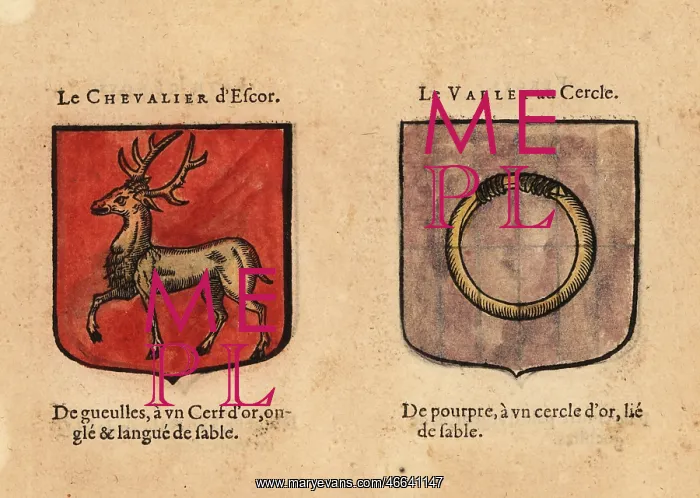 : Imaginary coats of arms of the Good Knight Descor : Imaginary coats of arms of the Good Knight Descor