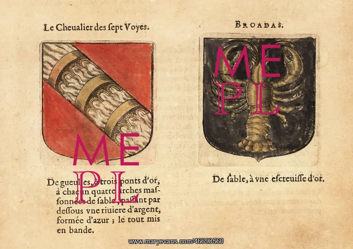 : Imaginary coats of arms of the Knight of the Seven : Imaginary coats of arms of the Knight of the Seven