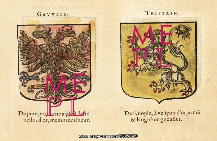 : Imaginary coats of arms of two Knights of the : Imaginary coats of arms of two Knights of the