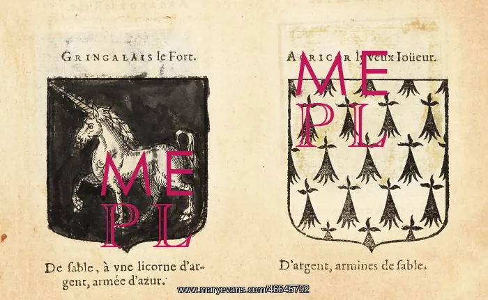 : Imaginary coats of arms of Sir Gingalain and Agrior : Imaginary coats of arms of Sir Gingalain and Agrior