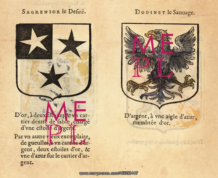 : Imaginary coats of arms of Sir Sagramore the Hothead : Imaginary coats of arms of Sir Sagramore the Hothead