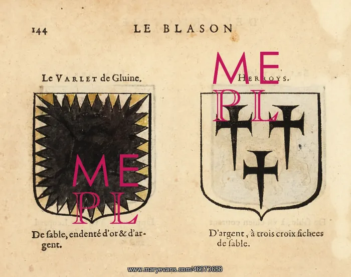 : Imaginary coats of arms of the Varlet de Gluine : Imaginary coats of arms of the Varlet de Gluine