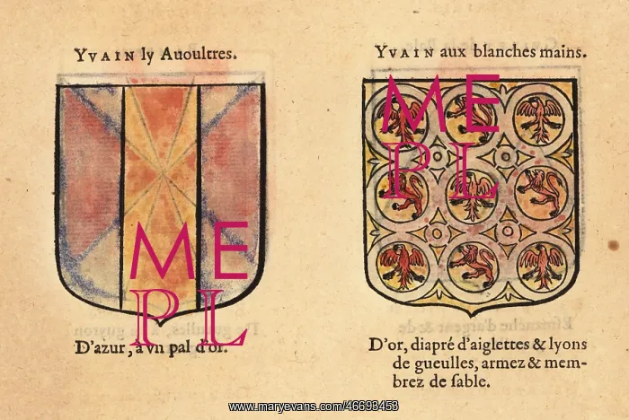 : Imaginary coats of arms of Yvain the Bastard and : Imaginary coats of arms of Yvain the Bastard and