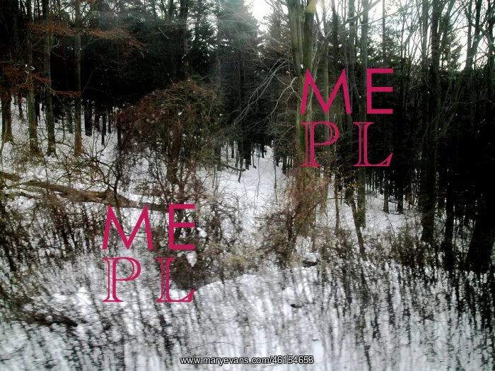 : IMAGNO Cover Collection. Forest edge in winter : IMAGNO Cover Collection. Forest edge in winter