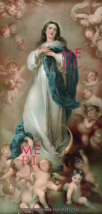 : The Immaculate Conception : The Immaculate Conception