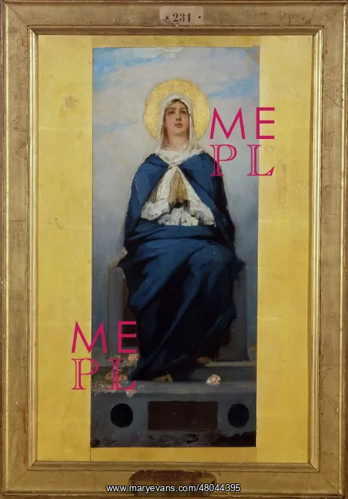 : The Immaculate conception : The Immaculate conception