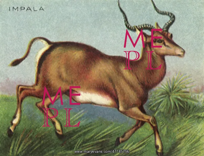  : Impala