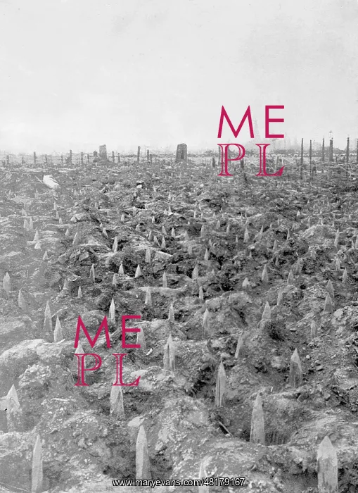 : Impediments in front of a German position on the Western fro : Impediments in front of a German position on the Western fro