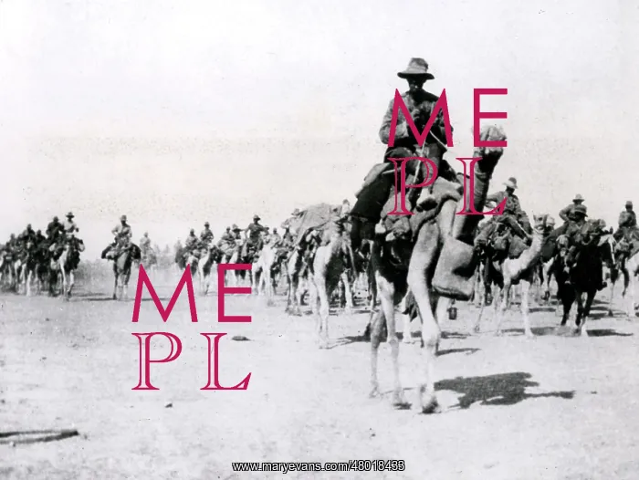 : Imperial Camel Corps Brigade, Beersheba, WW1 : Imperial Camel Corps Brigade, Beersheba, WW1