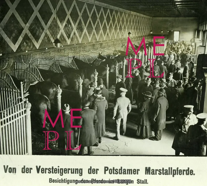 : The Imperial Marstall in Berlin, 1919 : The Imperial Marstall in Berlin, 1919