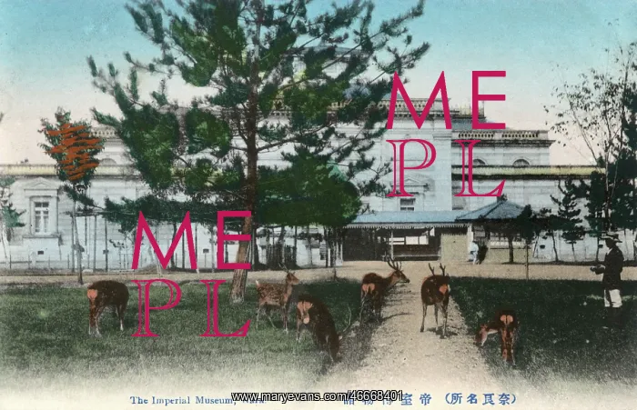 : The Imperial Museum at Nara, Japan - with deer : The Imperial Museum at Nara, Japan - with deer