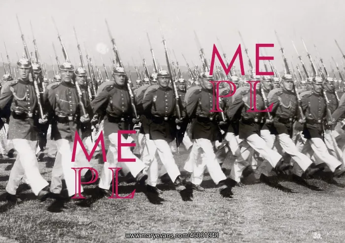 : Imperial parade of II. Army Corps : Imperial parade of II. Army Corps