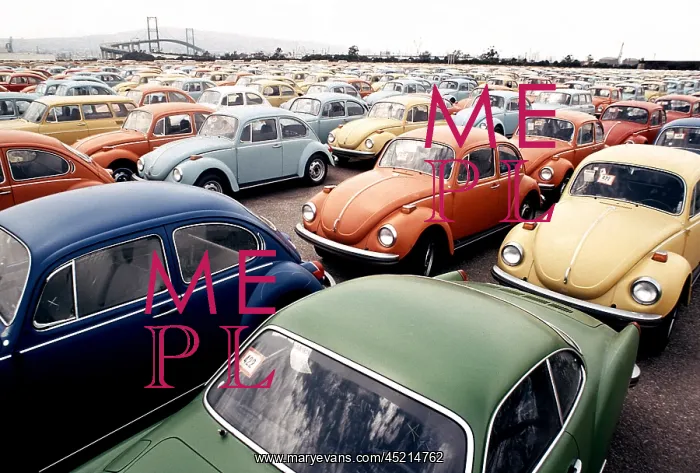 : Imported Volkswagen Beetles on an American ? : Imported Volkswagen Beetles on an American ?