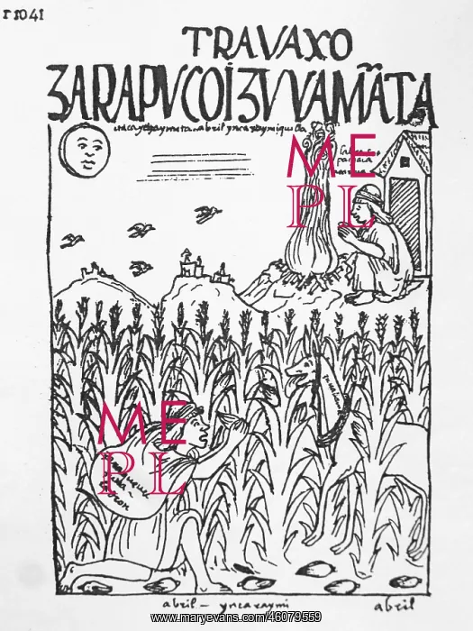 : Inca thief and worker protecting crops : Inca thief and worker protecting crops