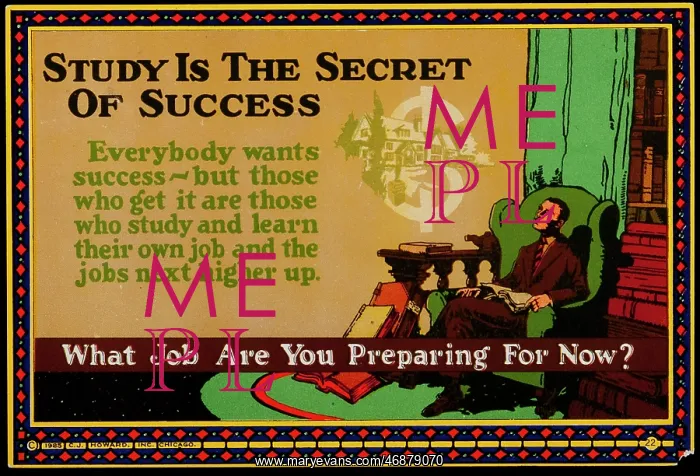 : Incentivisation Poster - Secret Of Success : Incentivisation Poster - Secret Of Success