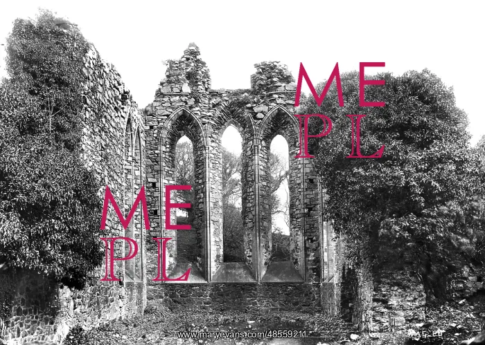 : Inch Abbey, Downpatrick : Inch Abbey, Downpatrick