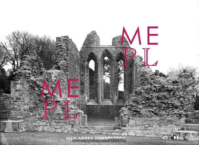 : Inch Abbey, Downpatrick : Inch Abbey, Downpatrick