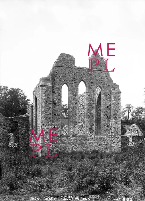 : Inch Abbey, Downpatrick : Inch Abbey, Downpatrick