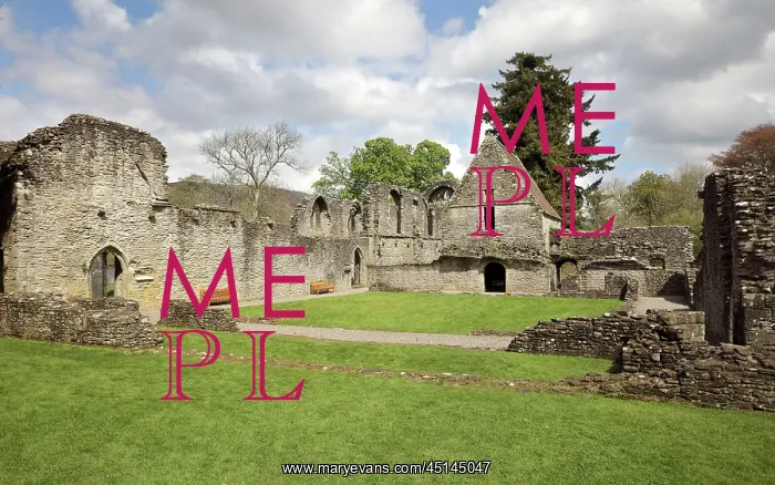 : Inchmahome Priory, Aberfoyle, Scotland
