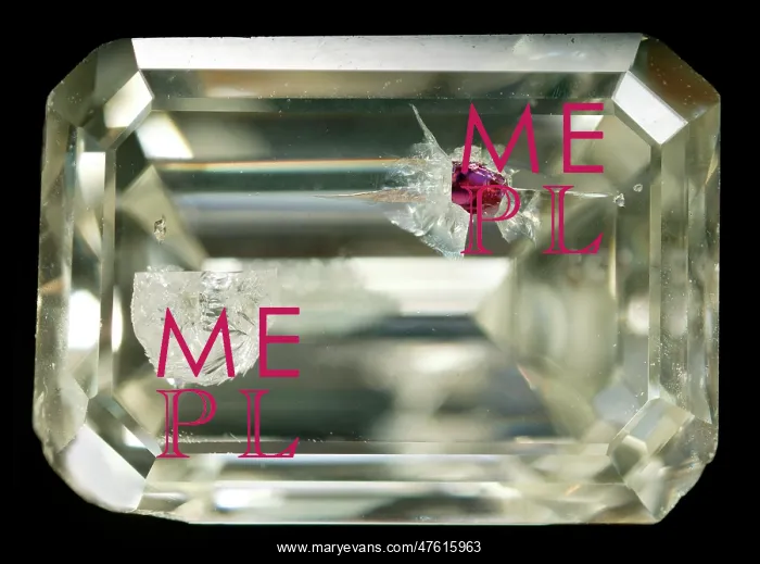 : Included diamond gemstone : Included diamond gemstone