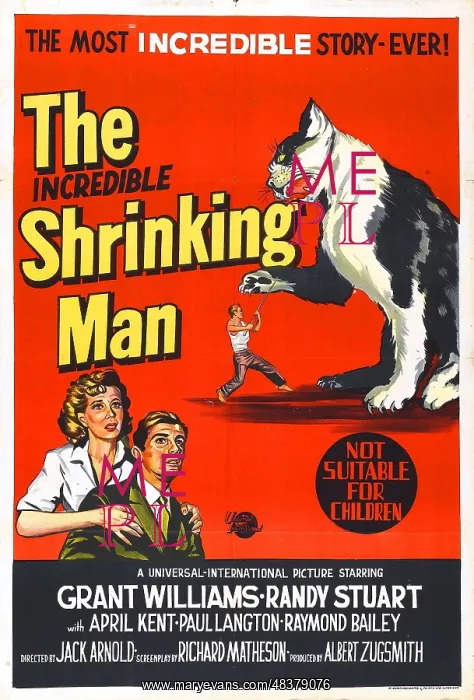 : The Incredible Shrinking Man a 1957 science fiction : The Incredible Shrinking Man a 1957 science fiction