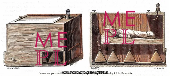 : Incubator, 1884 : Incubator, 1884