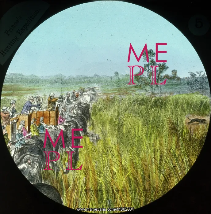 : India - Big Game Hunting : India - Big Game Hunting