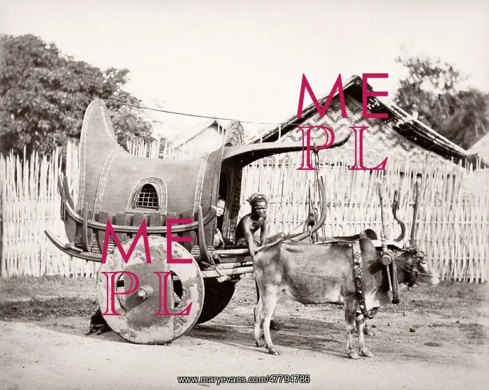  : India - bullock cart