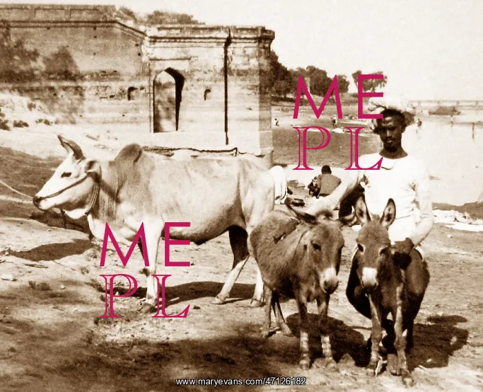  : India - Cawnpore early 1900s