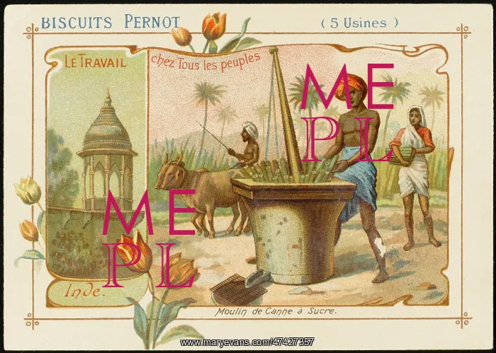 : India - Grinding Sugar : India - Grinding Sugar