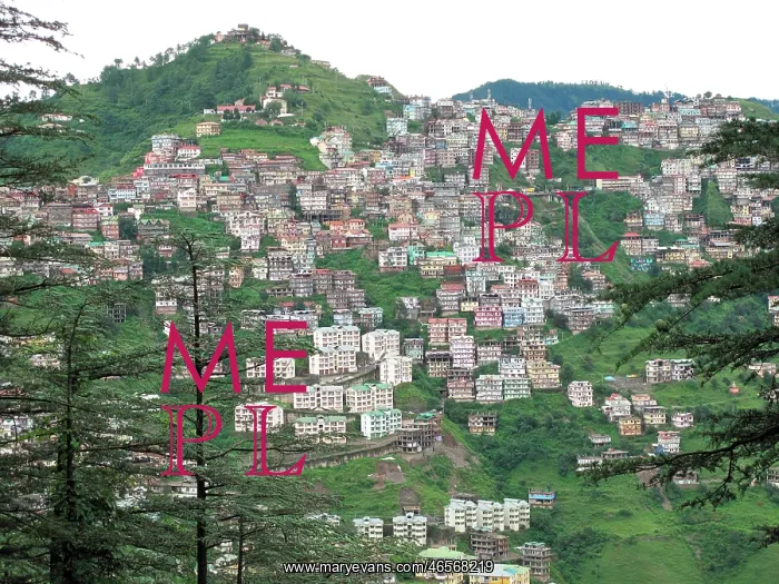 : India, Himachal Pradesh, Shimla : India, Himachal Pradesh, Shimla