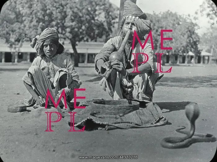 : India - Snake Charmer and Cobras : India - Snake Charmer and Cobras