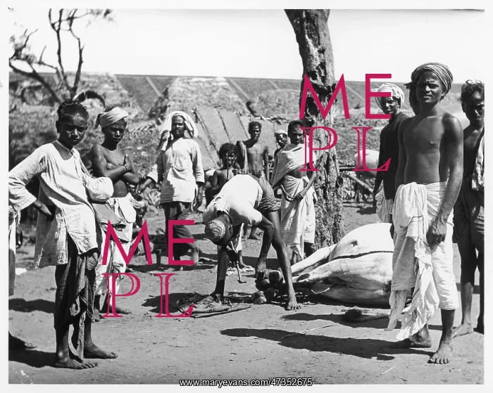  : INDIA /  SOCIAL /  1910