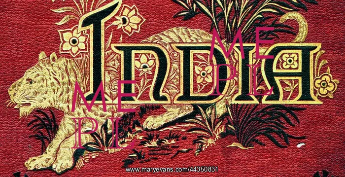  : India Tiger (Guilded)