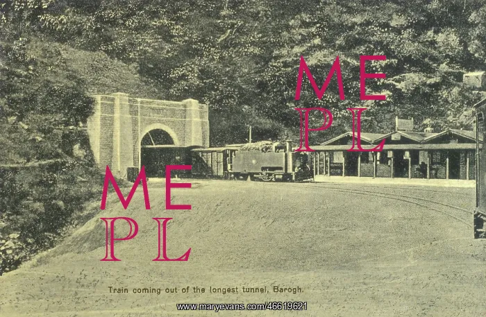 : India - Train coming out of the tunnel at Barog : India - Train coming out of the tunnel at Barog