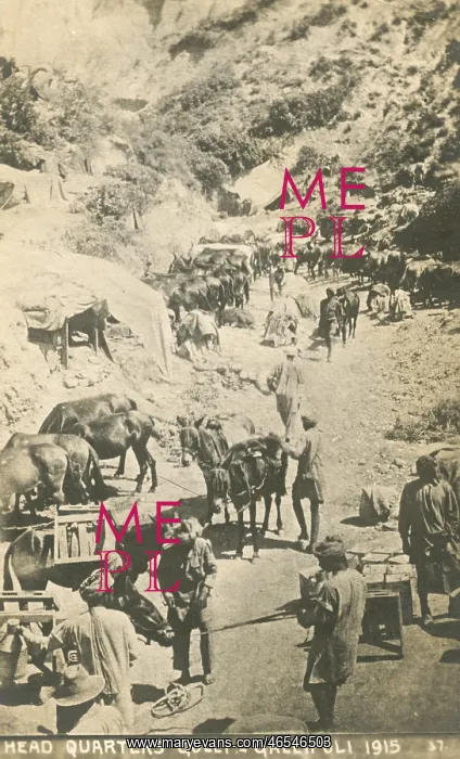 : Indian (Commonwealth) troops at Gallipoli : Indian (Commonwealth) troops at Gallipoli