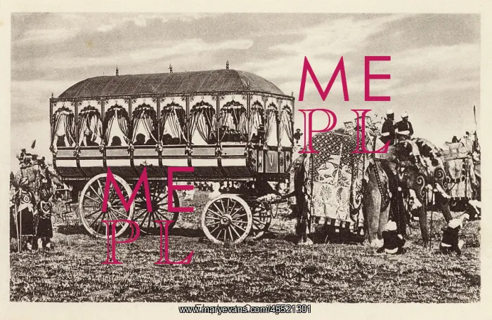 : Indian Elephant Carriage - India : Indian Elephant Carriage - India