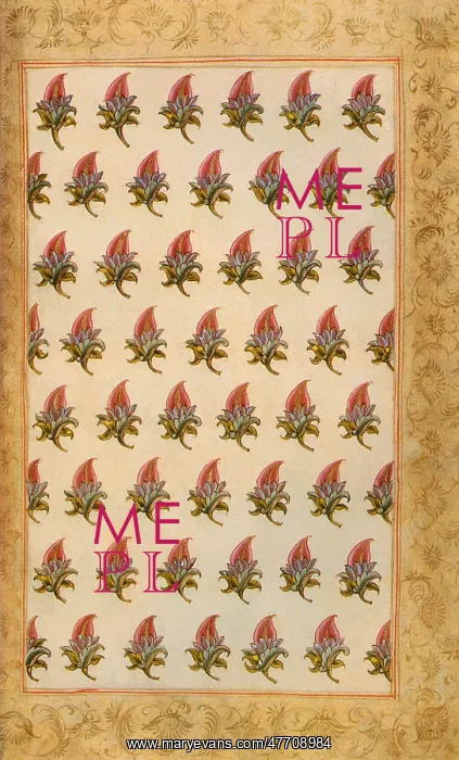  : Indian Floral Pattern