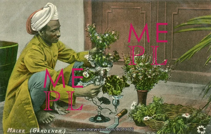 : Indian Gardener : Indian Gardener