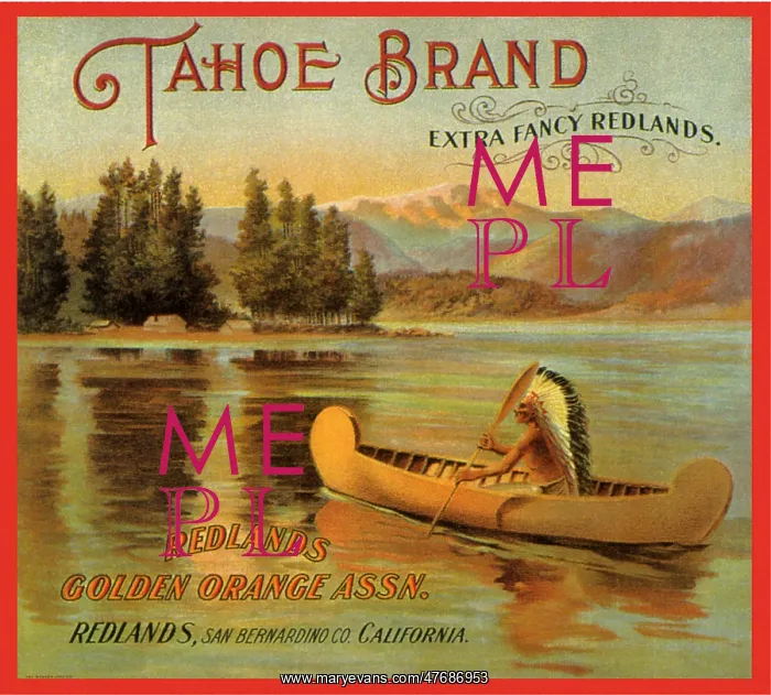  : Indian Man Canoeing