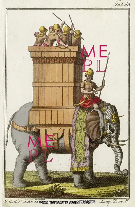 : INDIAN MILITARY ELEPHANT : INDIAN MILITARY ELEPHANT