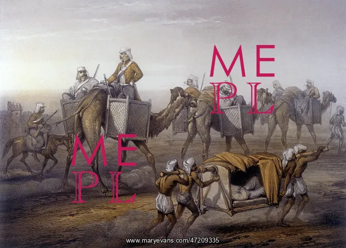 : INDIAN MUTINY, TO DELHI : INDIAN MUTINY, TO DELHI