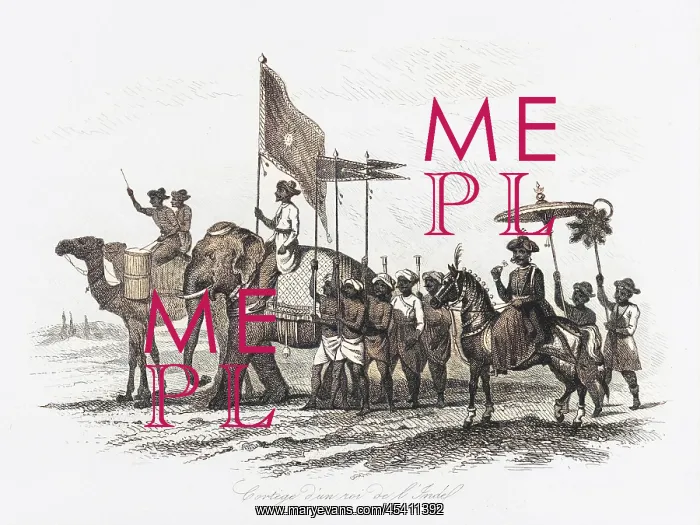 : Indian ruler and his cortege : Indian ruler and his cortege
