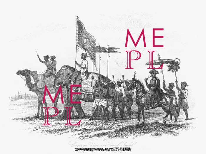: Indian ruler and his cortege : Indian ruler and his cortege