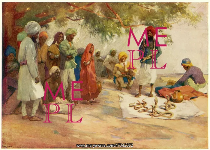  : INDIAN SNAKE CHARMER