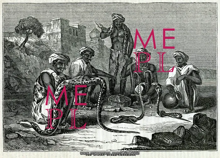  : Indian snake-charmers 1835